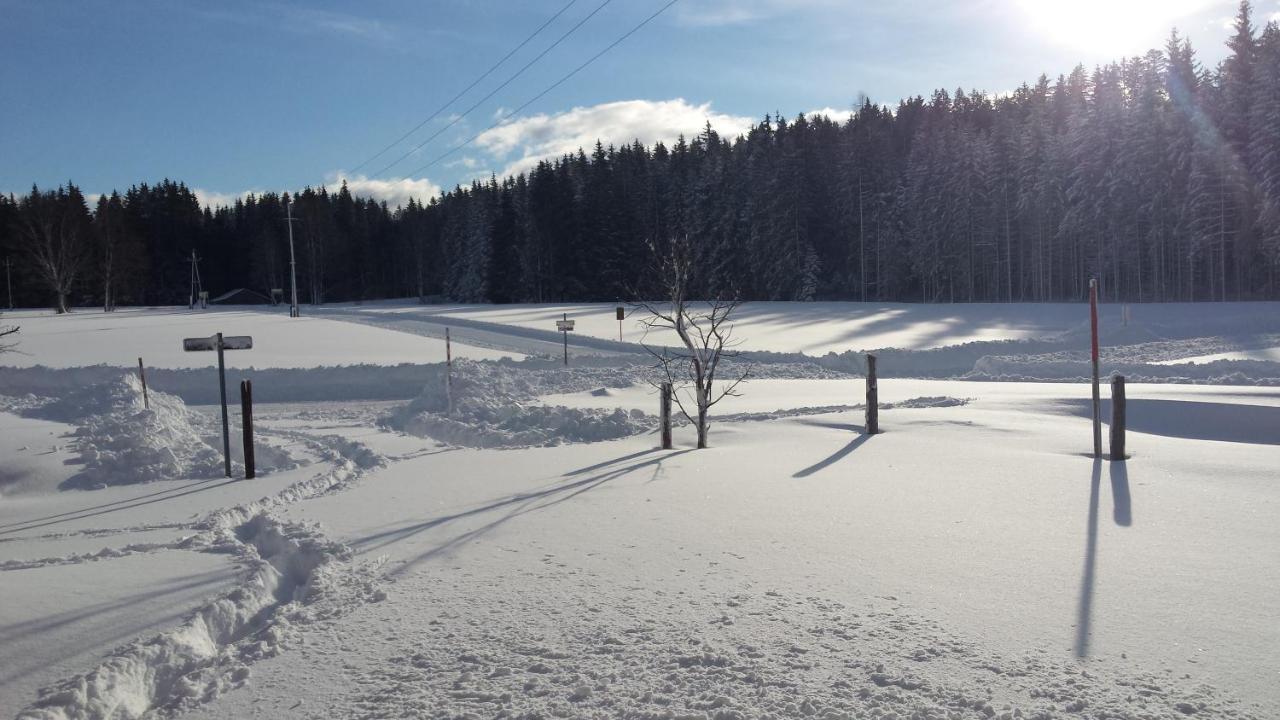 Haus Ferienglueck Apartman Ramsau am Dachstein Kültér fotó
