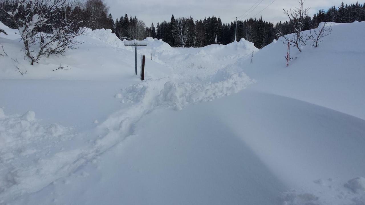Haus Ferienglueck Apartman Ramsau am Dachstein Kültér fotó