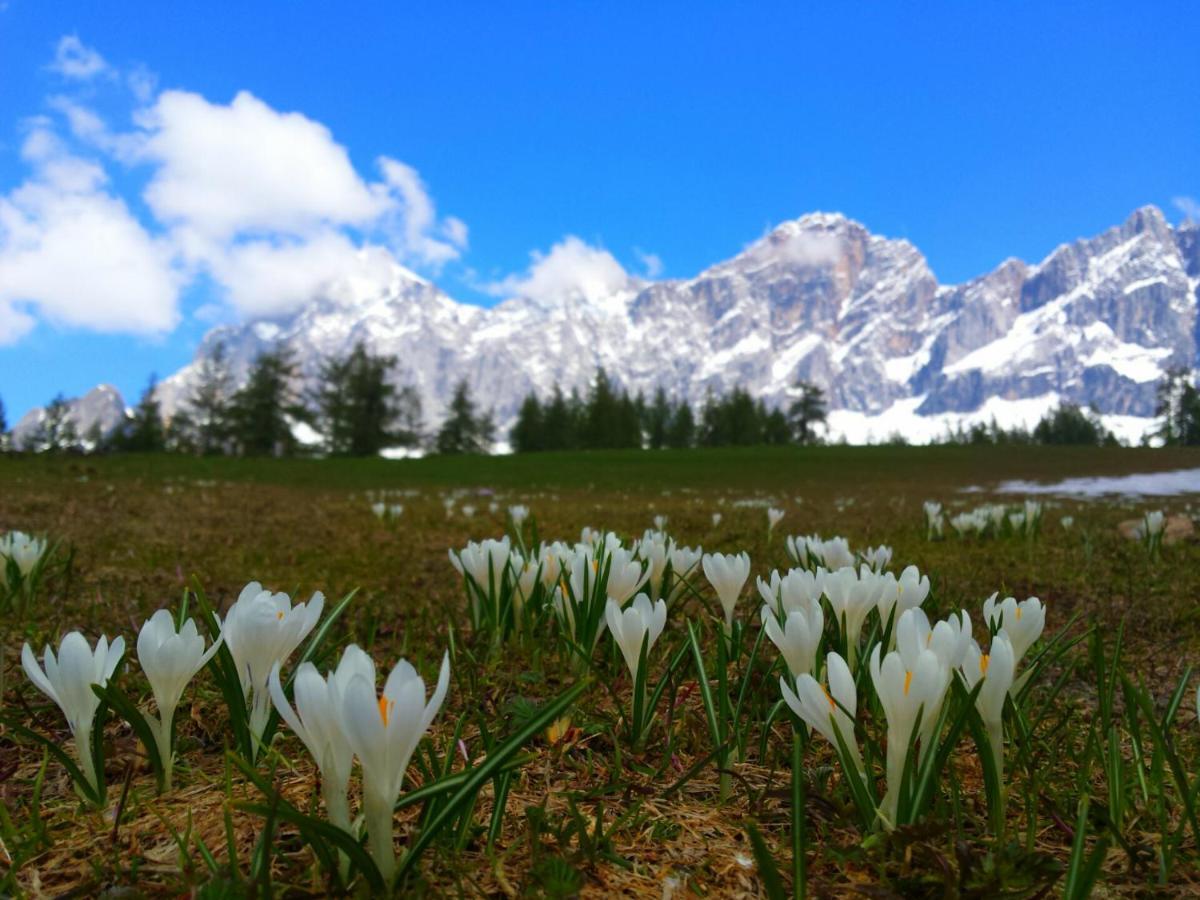 Haus Ferienglueck Apartman Ramsau am Dachstein Kültér fotó